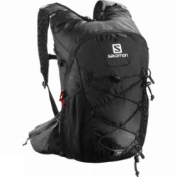 Salomon Evasion 20 Rucksack Black